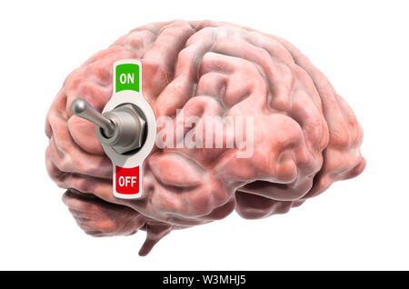 Cerveau avec l'interrupteur à bascule, rendu 3D isolé sur fond blanc Banque D'Images
