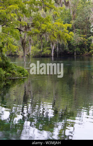 La rivière d'argent à Silver Springs State Park, Ocala, Floride Banque D'Images