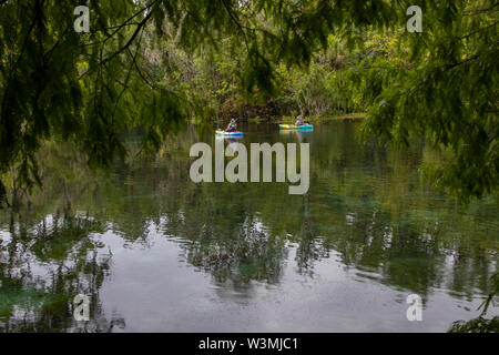 Kayak sur la rivière d'argent de Silver Springs State Park, Floride Banque D'Images