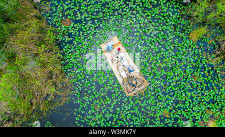 Tour en airboat Parc National des Everglades. Miami. La Floride. USA. Banque D'Images