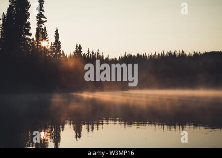 Une fine couche de brouillard miroite à la lumière dorée du soleil levant. Territoire du Yukon, Canada Banque D'Images