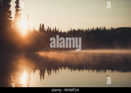 Une fine couche de brouillard miroite à la lumière dorée du soleil levant. Territoire du Yukon, Canada Banque D'Images