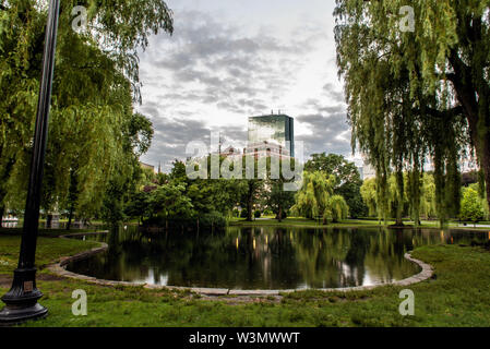 Boston Public Garden Park pond reflète le saule pleureur arbre branches suspendues sur la surface de l'eau. Banque D'Images