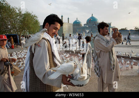 Un homme se nourrir les pigeons dans les locaux de la Mosquée Bleue ou 'le tombeau de Hazrat Ali', à Mazar-e-Sharif, dans le nord de la province de Balkh. Le Sanctuaire, dédié à Hazrat Ali, fils du prophète Muhammad-dans-la loi et le premier chef spirituel des musulmans chiites, est fréquenté par les musulmans chiites et sunnites, et déborde d'activité, 24 heures par jour. L'Afghanistan. Le 26 juin 2007. Banque D'Images