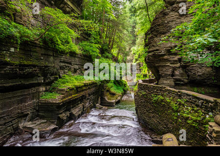 Sentier de la gorge dans la région de Robert H Treman State Park Banque D'Images