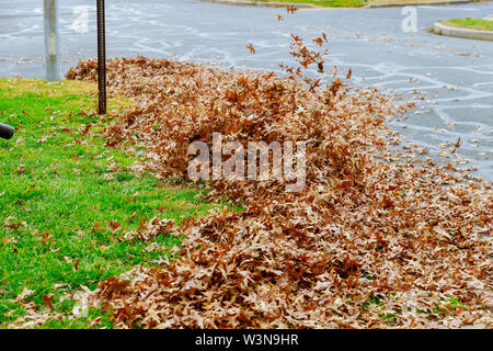 Au cours de l'automne d'exploitation de l'homme travaille une souffleuse à feuilles sont tourbillonné et brillent dans le soleil agréable Banque D'Images