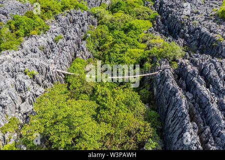 Pont suspendu au-dessus de paysage karstique robuste, Tsingy de l'Ankarana, Parc National d'Ankarana, drone abattu, dans le nord de Madagascar, Madagascar Banque D'Images