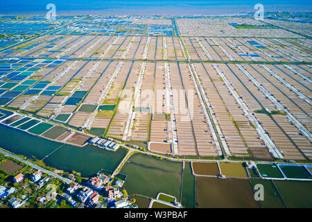 Image aérienne de grandes fermes d'élevage de crevettes dans la région côtière de Giao Thuy, Vietnam. Banque D'Images