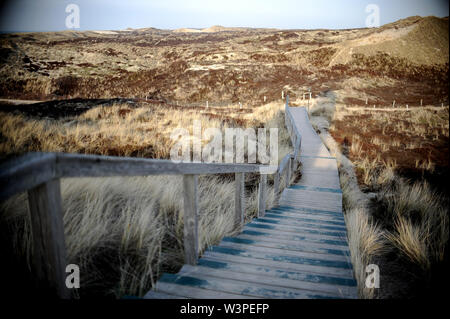 Sylt, Allemagne. Feb 18, 2019. Une passerelle en bois mène à travers les dunes sur l'île de Sylt. Sylt est la plus grande île du Nord en Allemagne. Credit : Britta Pedersen/dpa-Zentralbild/ZB/dpa/Alamy Live News Banque D'Images