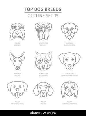 Haut de races de chien. Contours d'animaux collection. Vector illustration Illustration de Vecteur