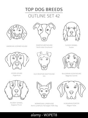 Haut de races de chien. Les chiens de chasse. Contours d'animaux collection. Vector illustration Illustration de Vecteur