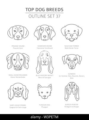 Haut de races de chien. Les chiens de chasse. Contours d'animaux collection. Vector illustration Illustration de Vecteur