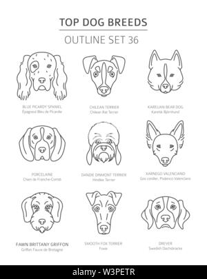 Haut de races de chien. Les chiens de chasse. Contours d'animaux collection. Vector illustration Illustration de Vecteur