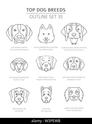 Haut de races de chien. Les chiens de chasse. Contours d'animaux collection. Vector illustration Illustration de Vecteur