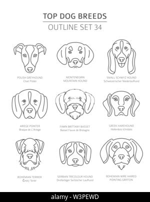 Haut de races de chien. Les chiens de chasse. Contours d'animaux collection. Vector illustration Illustration de Vecteur