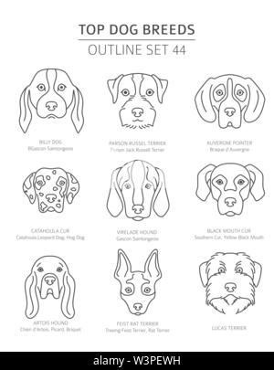 Haut de races de chien. Les chiens de chasse. Contours d'animaux collection. Vector illustration Illustration de Vecteur