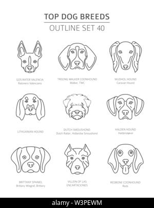 Haut de races de chien. Les chiens de chasse. Contours d'animaux collection. Vector illustration Illustration de Vecteur