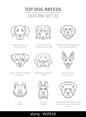 Haut de races de chien. Les chiens de chasse. Contours d'animaux collection. Vector illustration Illustration de Vecteur