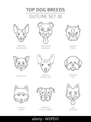 Haut de races de chien. Contours d'animaux collection. Vector illustration Illustration de Vecteur