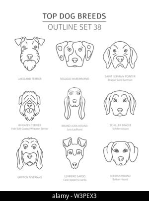 Haut de races de chien. Les chiens de chasse. Contours d'animaux collection. Vector illustration Illustration de Vecteur