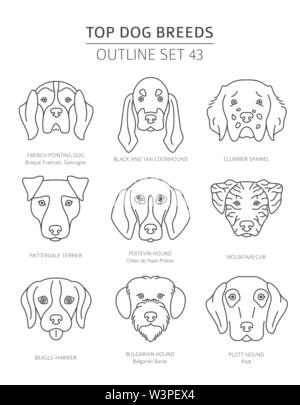 Haut de races de chien. Les chiens de chasse. Contours d'animaux collection. Vector illustration Illustration de Vecteur