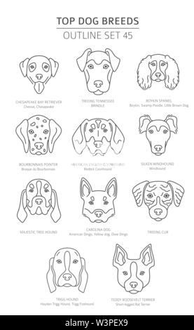 Haut de races de chien. Les chiens de chasse. Contours d'animaux collection. Vector illustration Illustration de Vecteur