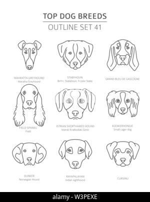 Haut de races de chien. Les chiens de chasse. Contours d'animaux collection. Vector illustration Illustration de Vecteur