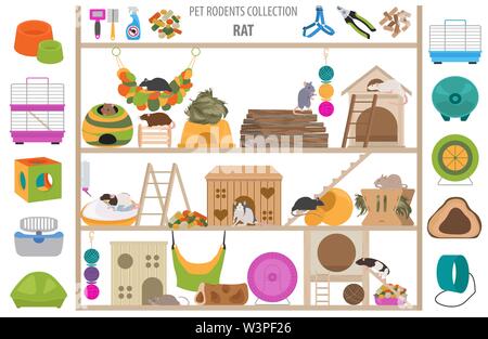 Accessoires pour animaux rongeurs home icon set style plat isolé sur blanc. Collection de soins. Créer propre infographie à propos de cobaye, rat, hamster, chinchilla Illustration de Vecteur