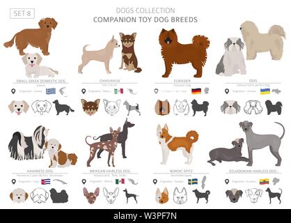 Jouet miniature et de compagnie chiens collection isolated on white. Style plat. Autre couleur et pays d'origine. Vector illustration Illustration de Vecteur