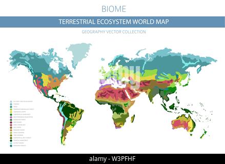 Carte du monde de l'écosystème terrestre. Biome. Zone climatique mondiale conception infographique. Vector illustration Illustration de Vecteur