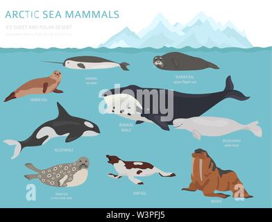 Glace et désert polaire biome. Carte du monde de l'écosystème terrestre. Les animaux de l'Arctique, les oiseaux, les poissons et les plantes conception infographique. Vector illustration Illustration de Vecteur