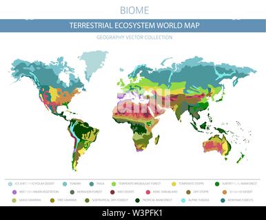 Carte du monde de l'écosystème terrestre. Biome. Zone climatique mondiale conception infographique. Vector illustration Illustration de Vecteur