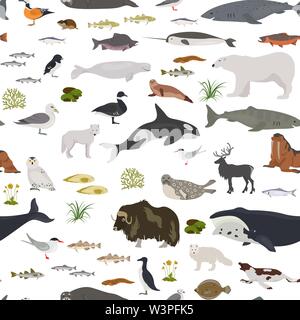 Glace et désert polaire biome. Carte du monde de l'écosystème terrestre. Les animaux de l'Arctique, les oiseaux, les poissons et les plantes seamless pattern design. Vector illustration Illustration de Vecteur