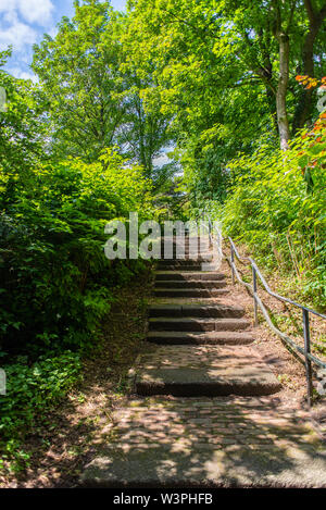 Un safari-photo dans le parc Atkinson à Brême sur la rivière Lesum Banque D'Images