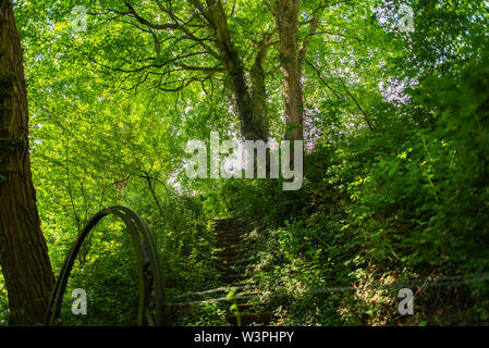 Un safari-photo dans le parc Atkinson à Brême sur la rivière Lesum Banque D'Images