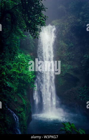 Belle et sauvage cascade au milieu de la jungle verte au Costa Rica. Banque D'Images