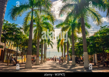 Sint Maarten / Caraïbes / Pays-Bas - Janvier 23,2008 : vue sur l'allée principale avec des palmiers sur les deux côtés au cours de la journée ensoleillée. Banque D'Images