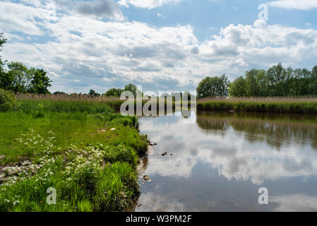 Un safari-photo dans le parc Atkinson à Brême sur la rivière Lesum Banque D'Images