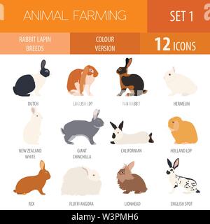 Lapin, lapin race icon set. Modèle plat. Vector illustration Illustration de Vecteur