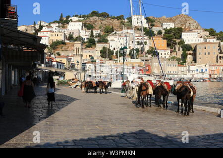 Les mules au port d''Hydra, l'île d'Hydra, Grèce. Banque D'Images