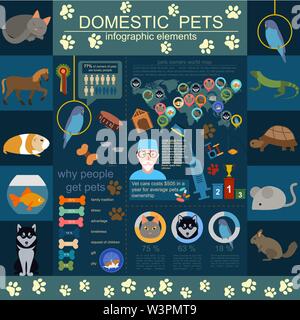 Animaux domestiques éléments infographique, helthcare, vétérinaire. Vector illustration Illustration de Vecteur