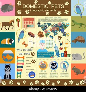 Animaux domestiques éléments infographique, helthcare, vétérinaire. Vector illustration Illustration de Vecteur