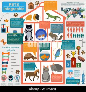 Animaux domestiques éléments infographique, helthcare, vétérinaire. Vector illustration Illustration de Vecteur