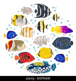 Les poissons d'aquarium d'eau douce se reproduit icon set style plat isolé sur blanc. Récif de corail. Créer propre infographie sur l'animal. Vector illustration Illustration de Vecteur