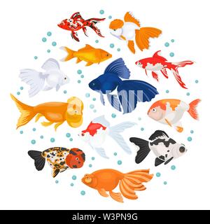 Les poissons d'aquarium d'eau douce se reproduit icon set style plat isolé sur blanc. Poissons rouges. Créer propre infographie sur les animaux de compagnie. Vector illustration Illustration de Vecteur