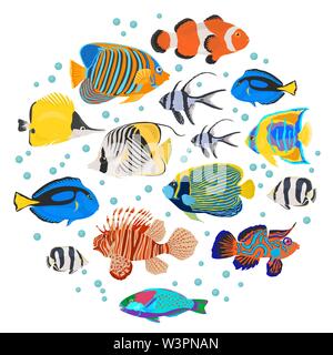 Les poissons d'aquarium d'eau douce se reproduit icon set style plat isolé sur blanc. Récif de corail. Créer propre infographie sur l'animal. Vector illustration Illustration de Vecteur