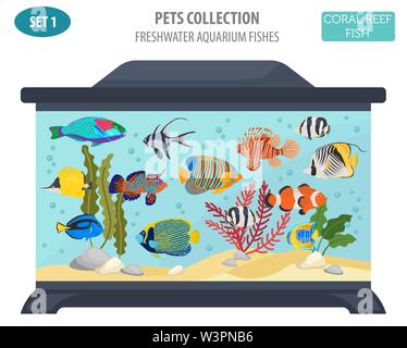 Les poissons d'aquarium d'eau douce se reproduit icon set style plat isolé sur blanc. Récif de corail. Créer propre infographie sur l'animal. Vector illustration Illustration de Vecteur