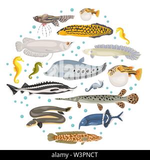 Les poissons d'aquarium d'eau douce rare breeds icon set style plat isolé sur blanc. Créer propre infographie sur l'animal. Vector illustration Illustration de Vecteur