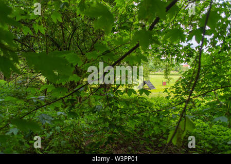 Un safari-photo dans le parc Atkinson à Brême sur la rivière Lesum Banque D'Images