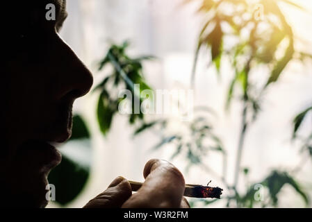 Silhouette rétro-éclairés de jeunes fumeurs millénaire commune de marijuana Banque D'Images